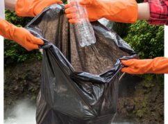 yes-no-world-cleanup-day