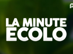 la-minute-ecolo